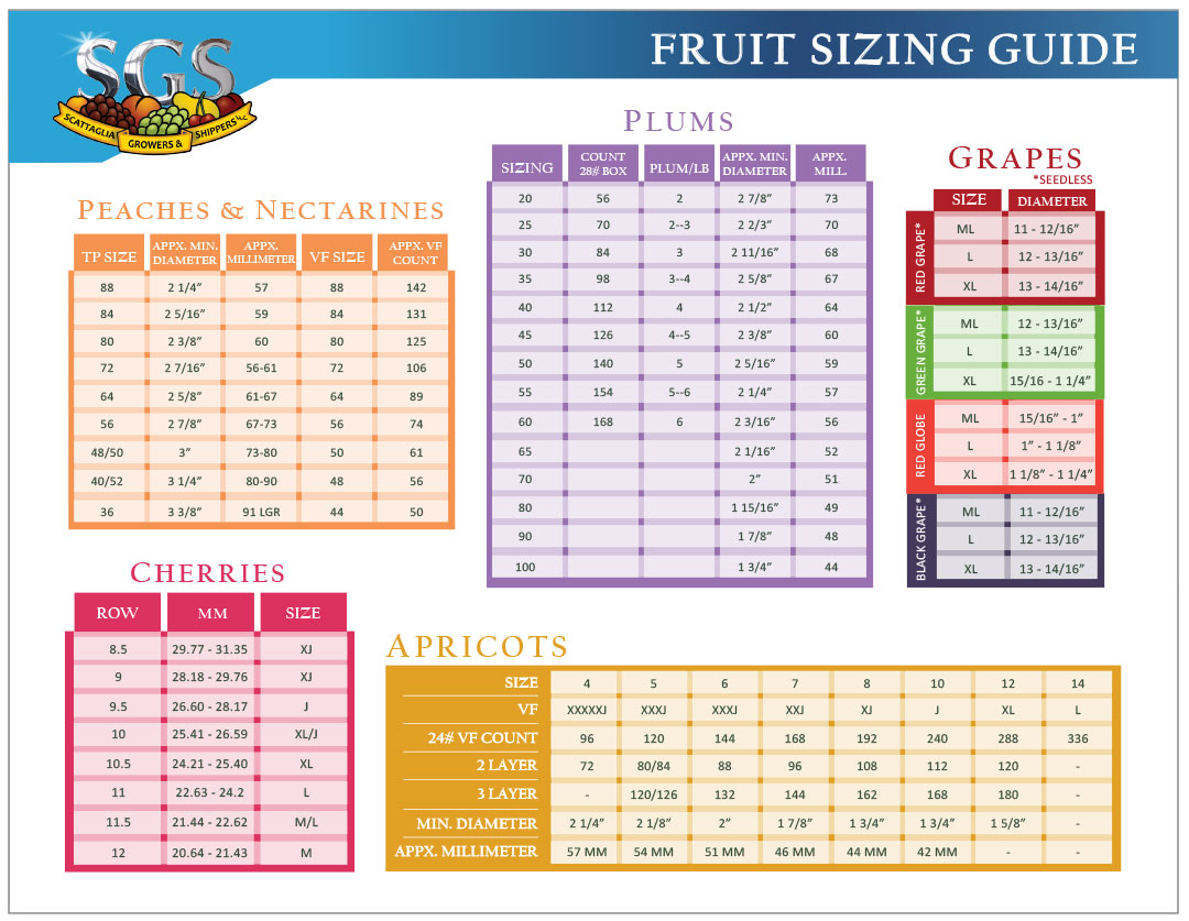 fruit-sizing-chart-frontnew