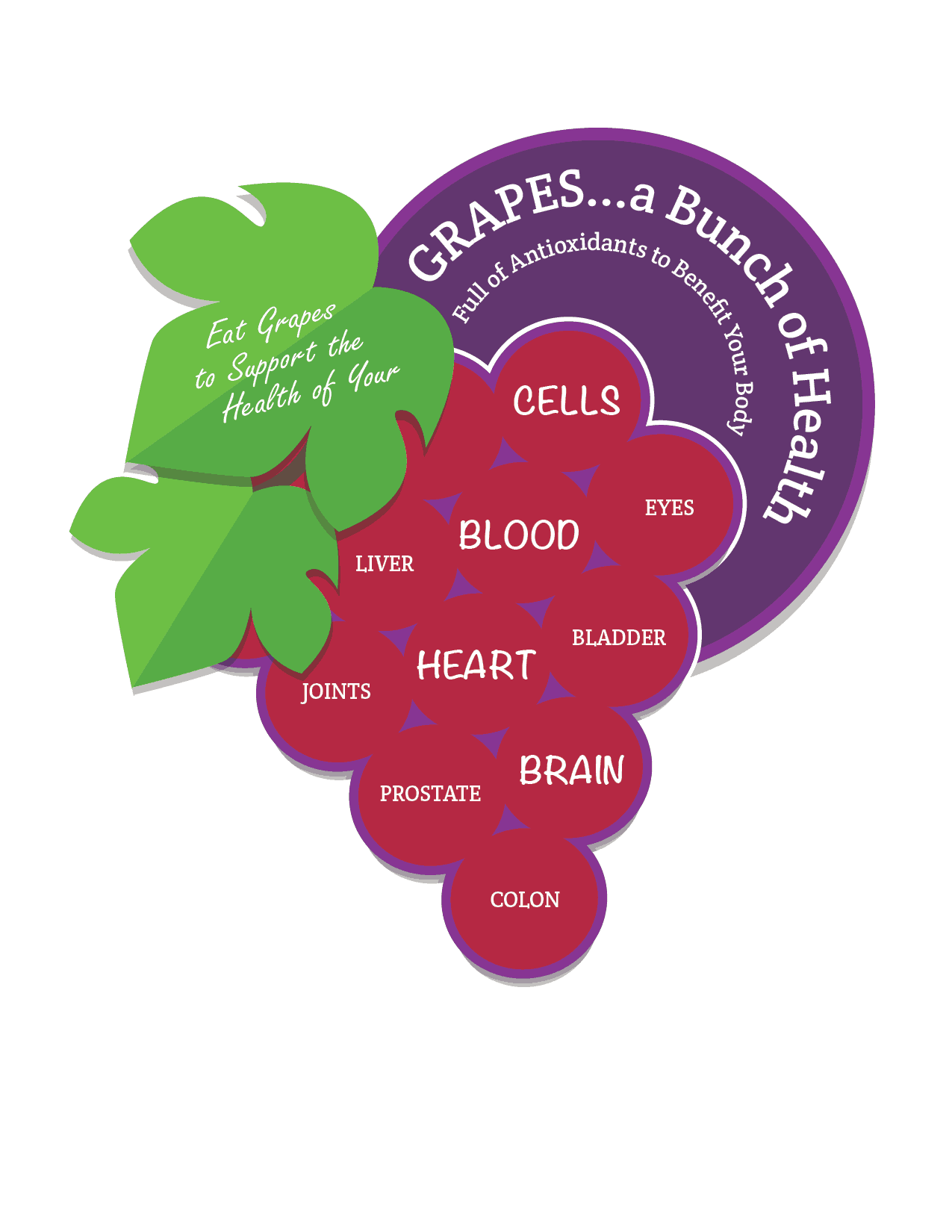 GrapeInfographic