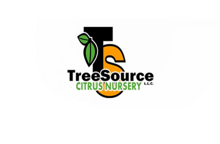 Citrus Tree Source