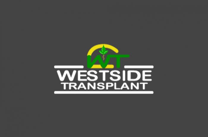 Westside Transplant